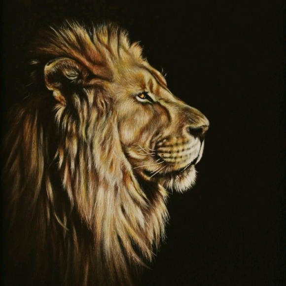 Meet your Posher, Christopher - Picture 1 of 1